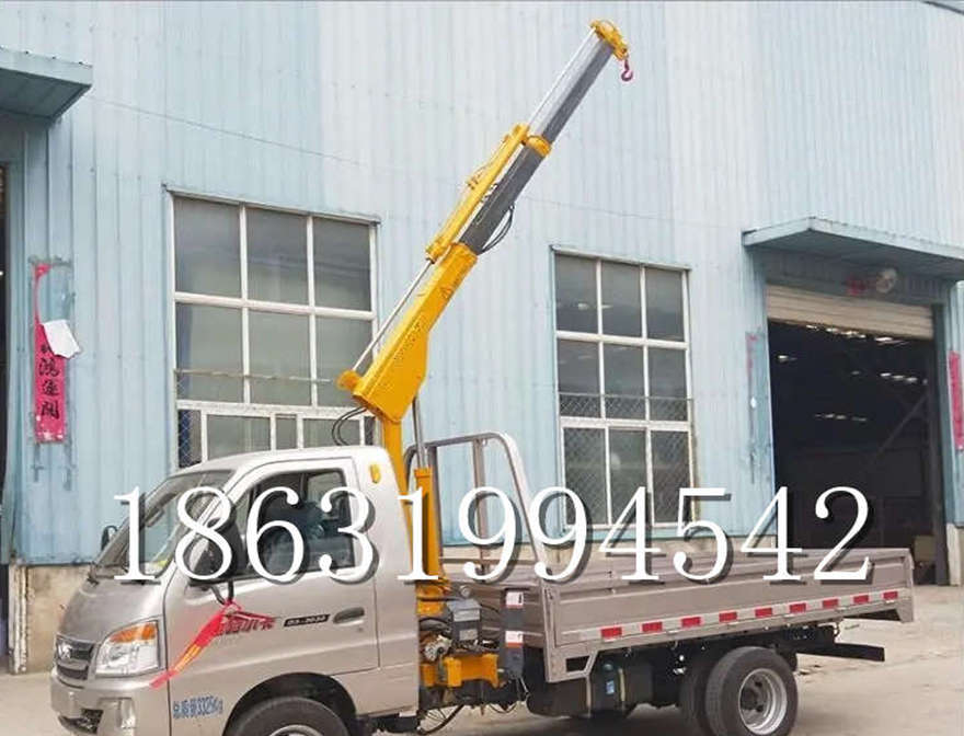 海城市车载吊机自走可移动式海城市当地车载吊机小型履带吊220伏家用吊机固定车载吊海城市当地